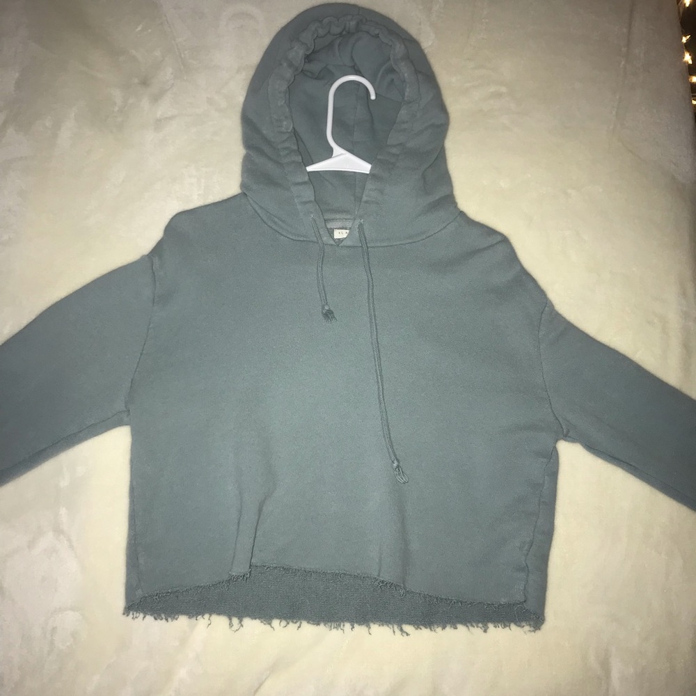 Pacsun Cropped Cutoff Hoodie